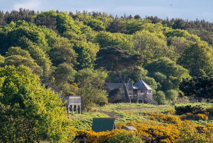 Our seven hidden Treehouses 